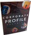 Corporate profile graphics 3